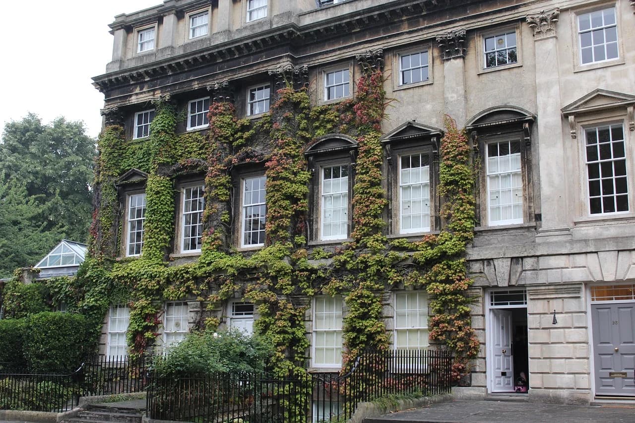 An elegant Georgian townhouse in Bath is covered in a lush green vine that climbs up the walls.