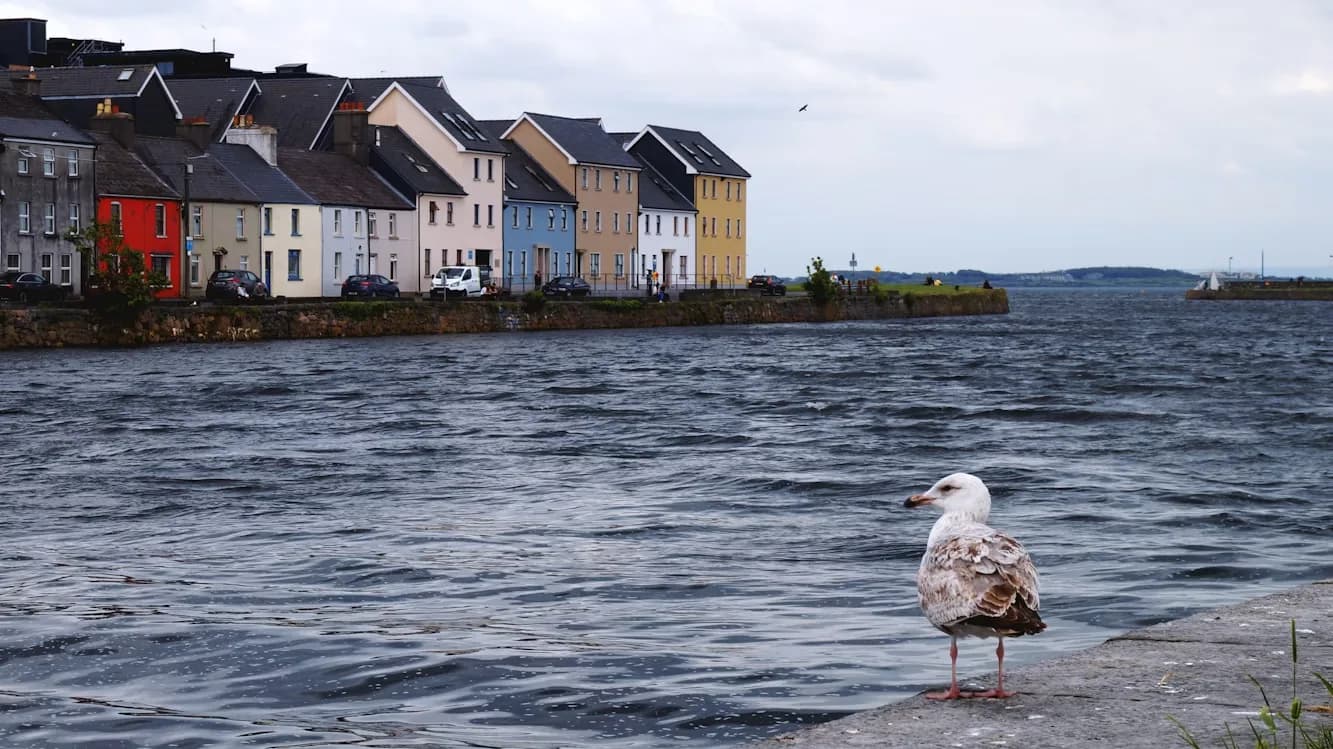 Galway