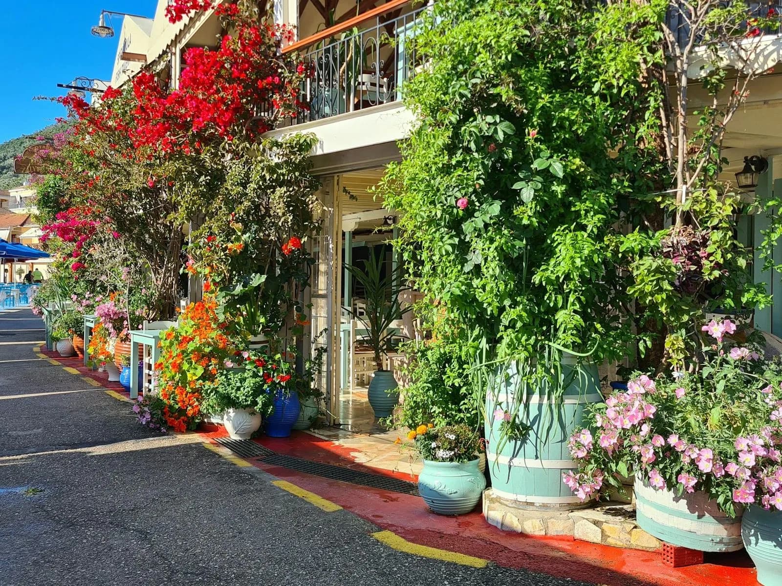 A vibrant street lined with lush, flowering plants and bushes creates a welcoming entrance to a local shop.