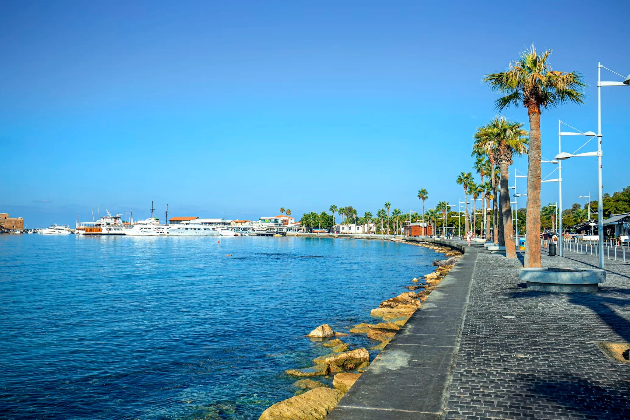 Palm trees line the scenic harbor of Paphos, where yachts and fishing boats are moored against a backdrop of cafes and shops.