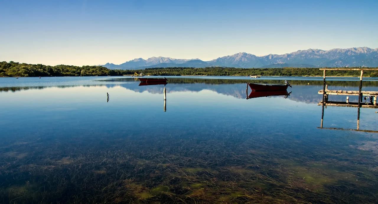 A narrow, cobblestone alleyway in Urbino is lined with historic stone buildings and a few shops.