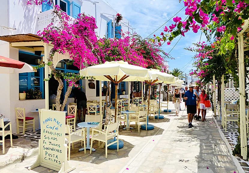A narrow, cobblestone alleyway in Antiparos is lined with traditional white-washed buildings and vibrant pink flowers.