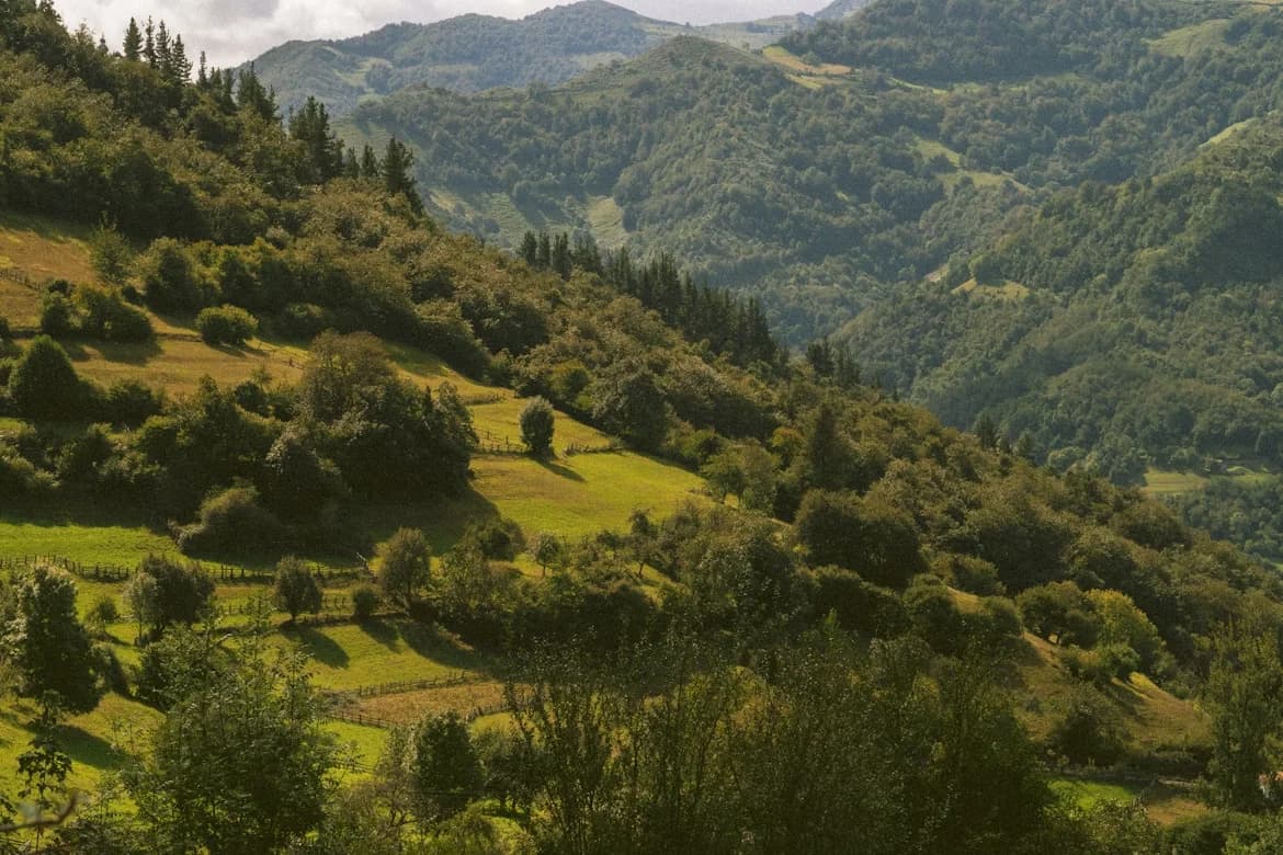 A scenic view of the lush, green mountains and rolling hills of the Asturias countryside.