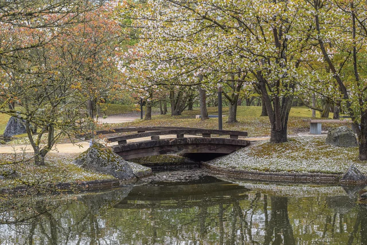 A beautiful wooden footbridge crosses a stream in the tranquil Japanese Garden, a perfect place for quiet contemplation.