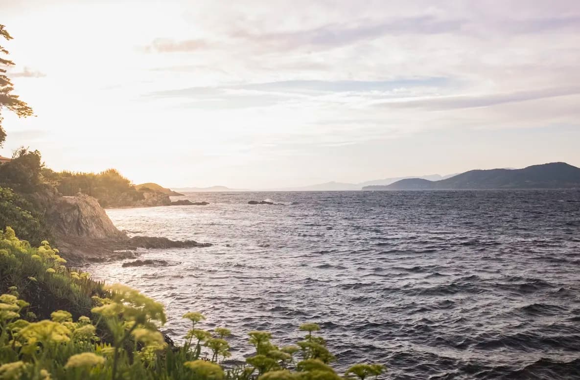 A view of the rocky coastline of Hyères shows the shimmering water and distant islands under a soft evening light.