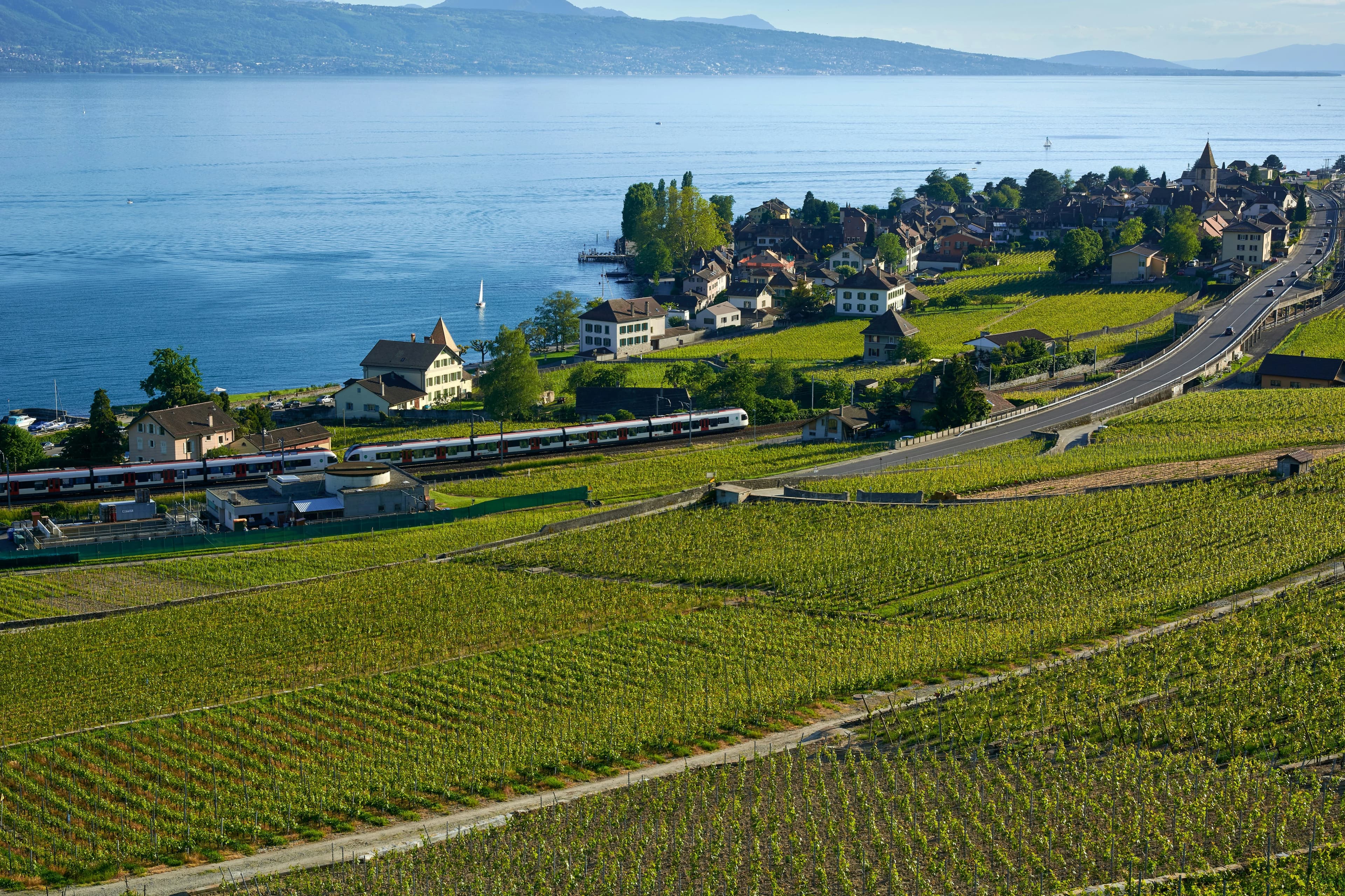A train travels along the terraced vineyards of Lavaux, with the serene waters of Lake Geneva and a charming village in the background.