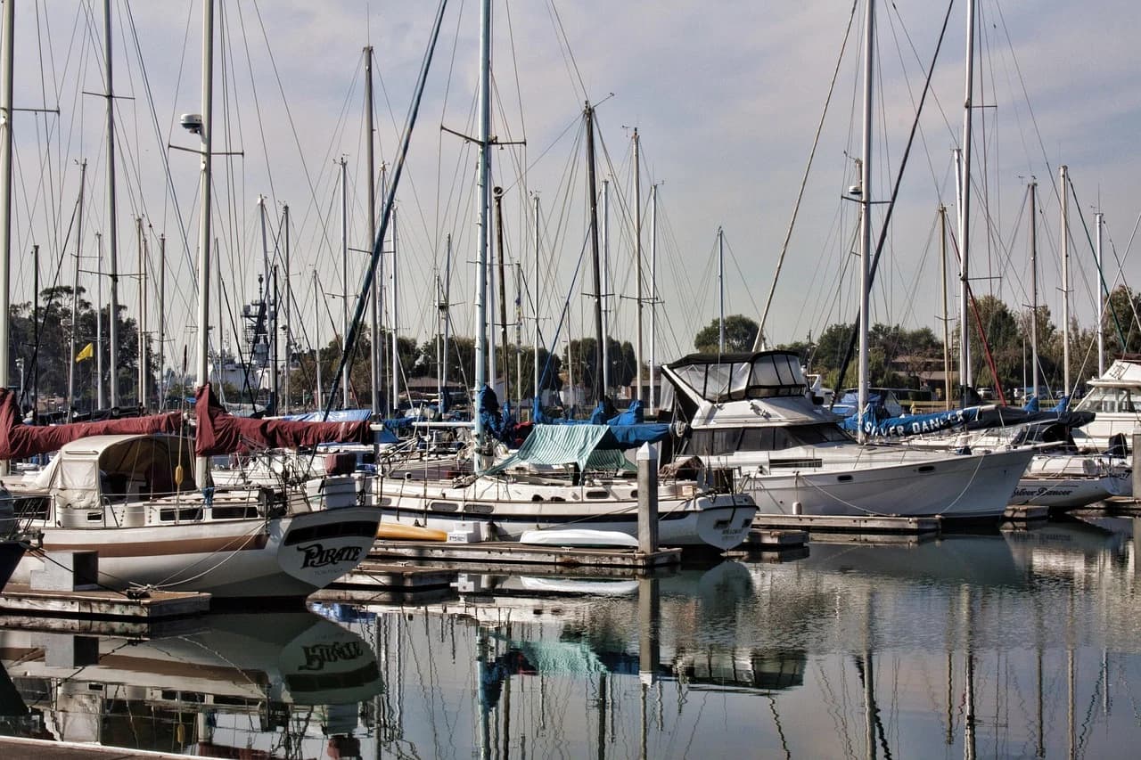 A marina filled with numerous sailboats and yachts is a tranquil scene, with a cloudy sky in the background.