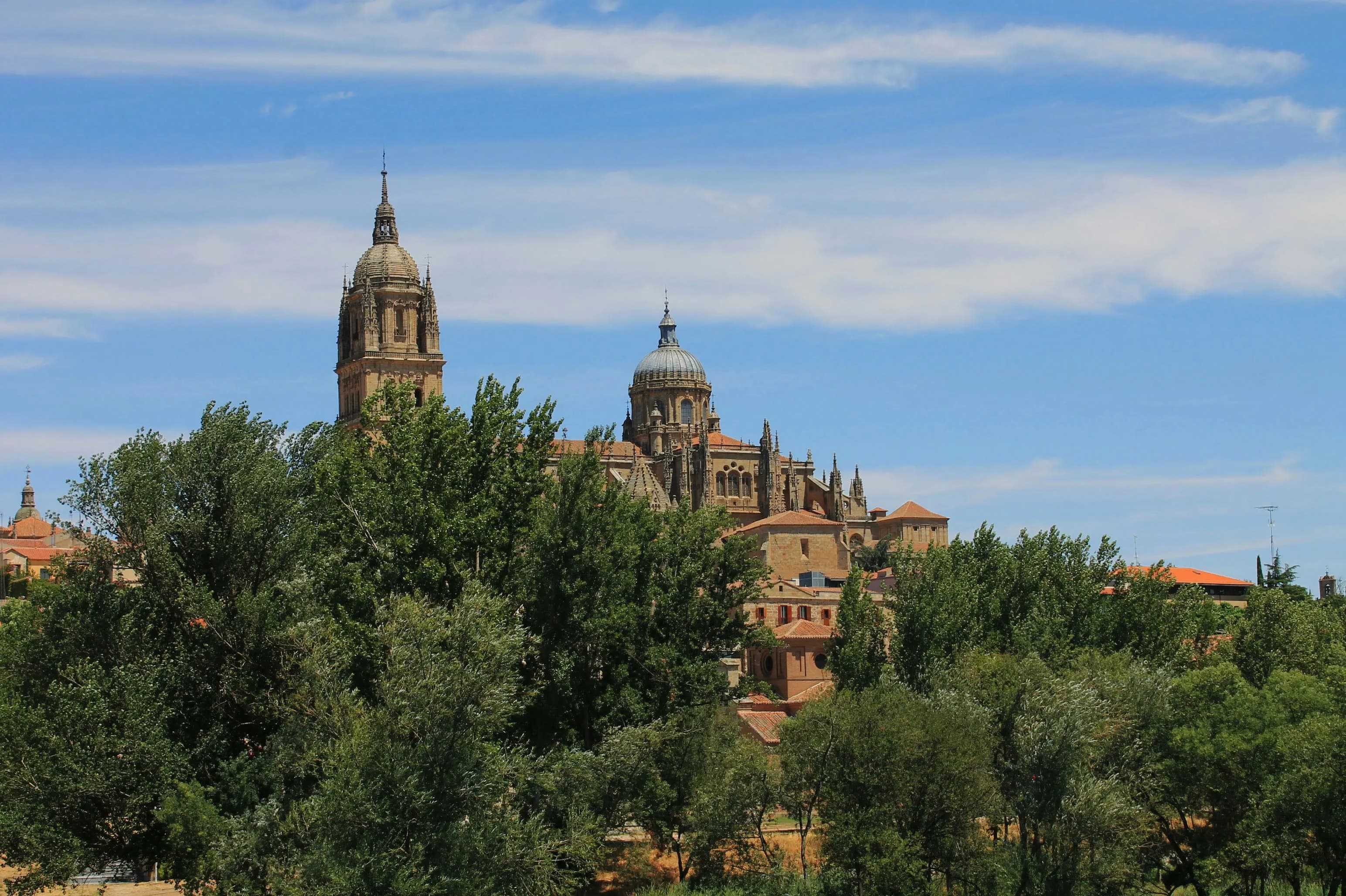 The majestic Salamanca Cathedral rises above a line of green trees, a prominent feature of the city's skyline.