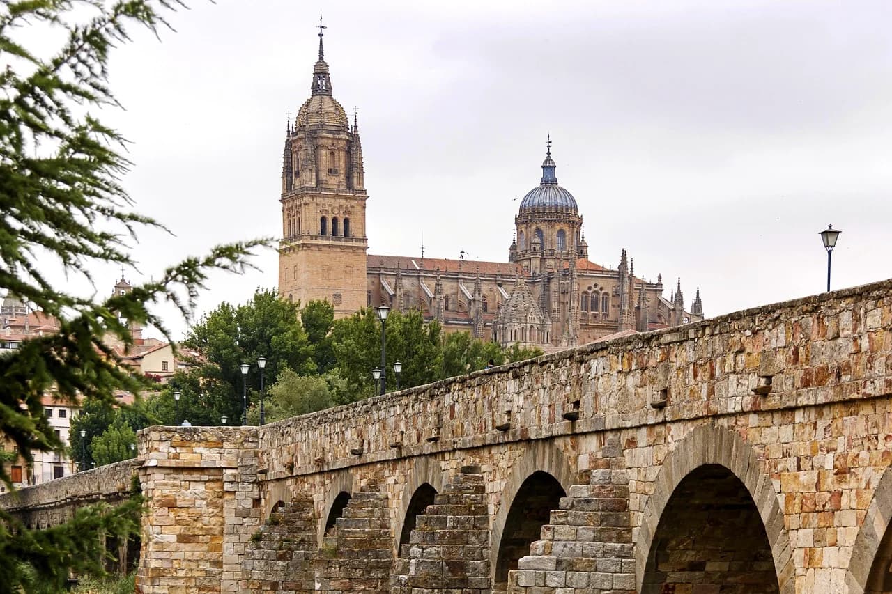 The historic Roman Bridge, with its numerous arches, crosses the Tormes River, with the Salamanca Cathedral in the background.