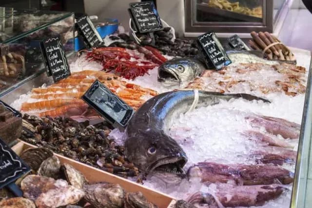 A display of fresh seafood on ice showcases the variety of fish, crustaceans, and shellfish available at a local market.